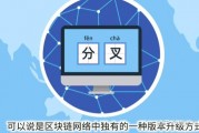 区块链分叉不诚实节点(区块链一直未确认怎么办)